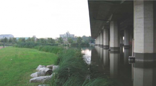 Immagine per il contenuto "Rete Ecologica lungo il Lambro – Incontro pubblico di presentazione martedì 21 maggio"