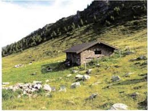 Immagine per il contenuto "Alpe in festa a Rosellino - Foresta Val Grigna (BS)"