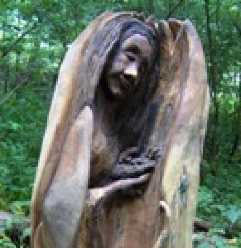 Immagine per il contenuto "FOREST ART - Foresta Corni di Canzo (CO)"