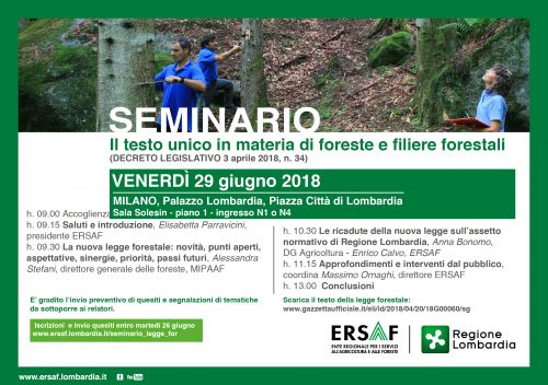 Immagine per il contenuto "Il testo unico in materia di foreste e filiere forestali"