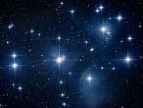 Immagine per il contenuto "La notte delle stelle di San Lorenzo - Foresta Carpaneta (MN)"