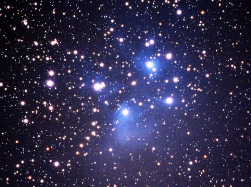 Immagine per il contenuto "Dalle stalle alle stelle - Foresta Gardesana occ. (BS)"