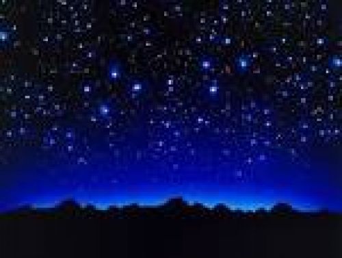 Immagine per il contenuto "Bedolo sotto le stelle - Foresta Valle Intelvi (CO)"