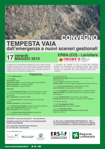 Immagine per il contenuto "17 maggio 2019 - Convegno "Tempesta Vaia: dall'emergenza a nuovi scenari gestionali""