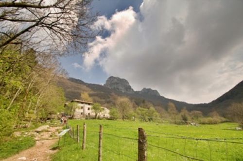 Immagine per il contenuto "Primo soccorso in montagna a Terz'Alpe - Foresta Corni di Canzo (CO)"