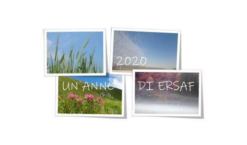 Immagine per il contenuto "Un anno di ERSAF per immagini"