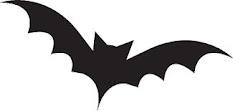 Immagine per il contenuto "Bat night - Foresta Corni di Canzo (CO)"
