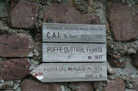 Immagine per il contenuto "All'Alpe Stabil Fiorito...a tavola con l'orso! - Foresta Val Grigna (BS)"