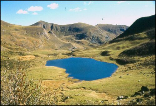 Immagine per il contenuto "Programma eventi Estate 2015 - Alpe Vaia (BS) "