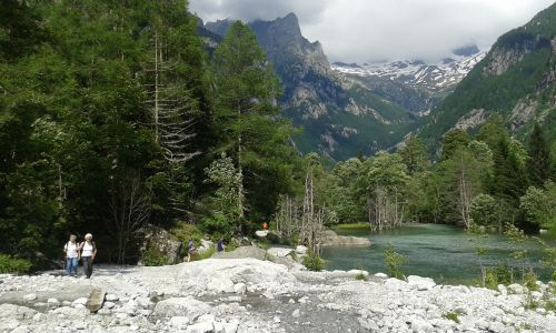 Immagine per il contenuto "Saperi e sapori selvatici della Val di Mello (SO)"