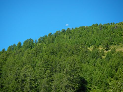 Immagine per il contenuto "Incontro tematico Val Gerola (SO)"