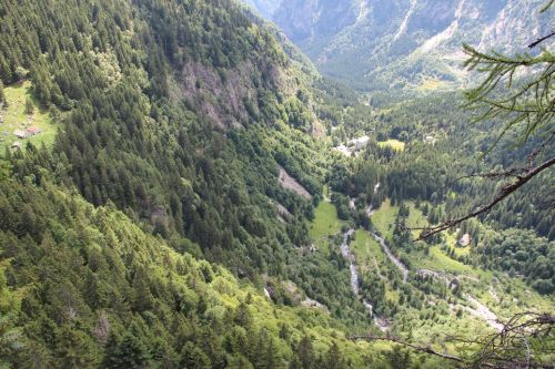 Immagine per il contenuto "Vivere la Montagna - progetto Emblematico Cariplo in Val Masino"