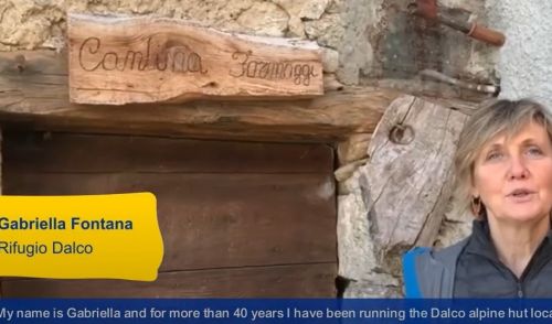 Immagine per il contenuto "Montana 174"