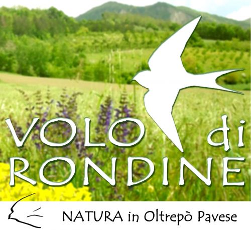 Immagine per il contenuto "Visite guidate RN Monte Alpe (PV)"